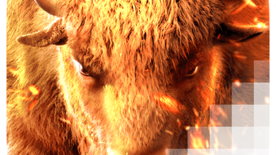 버팔로 승리 [Buffalo Win]